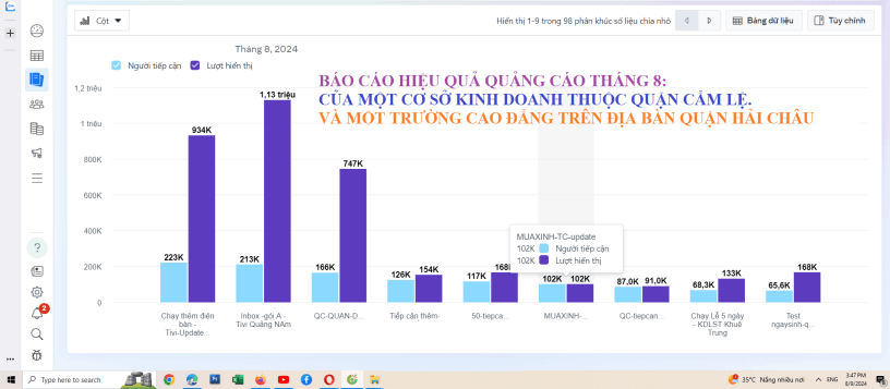 Báo cáo hiệu suất quảng cáo Facebook của một đơn vị Đà NẴng