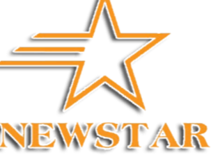 logo công ty Newstar Đà Nẵng